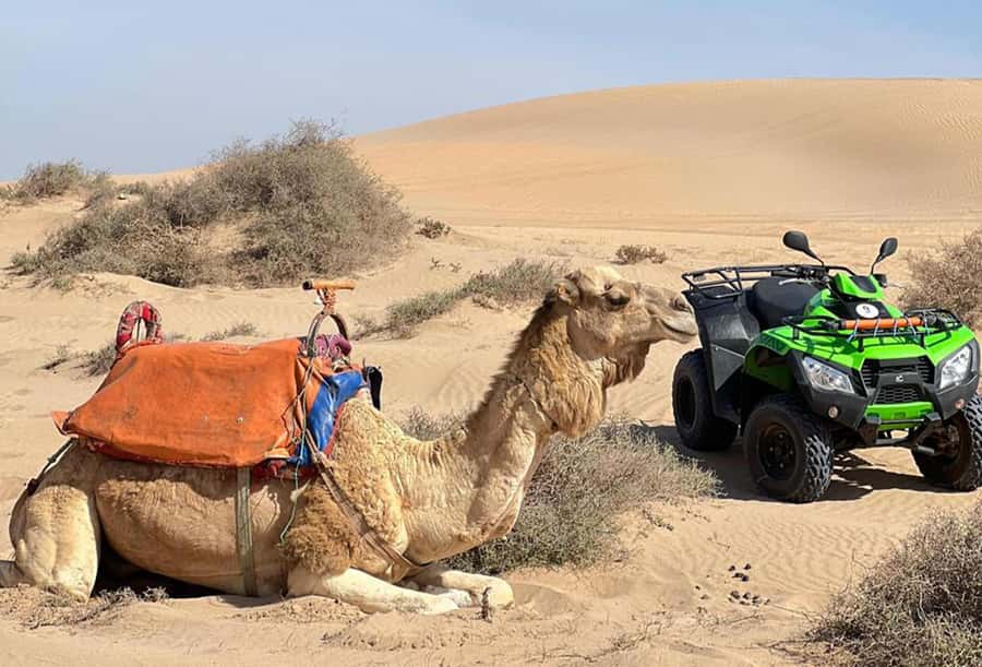Agadir to Tifnit Desert: Quad Biking Tour with Sandboarding - Guides and Safety: What You Gain from a Small Group of 10