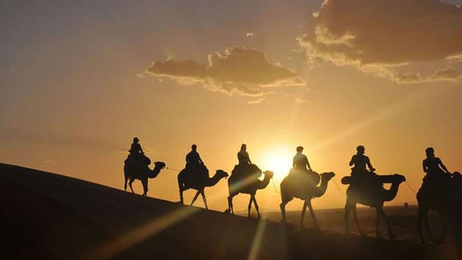 Agafay and atlas: Quad and camel experience - Who should book this quad and camel adventure, and who should skip it