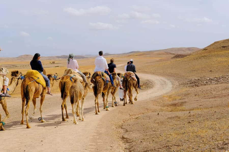 Agafay and atlas: Quad and camel experience - Camel ride and nomad-style cheich scarf: when the desert slows down