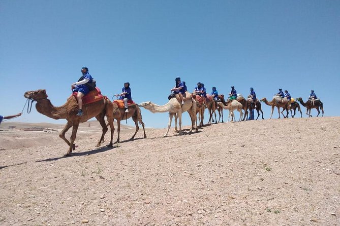 Agafay camel ride - Key Highlights You Should Know Before You Go