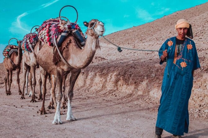 Agafay camel ride - Agafay, the desert near Marrakech that saves your time