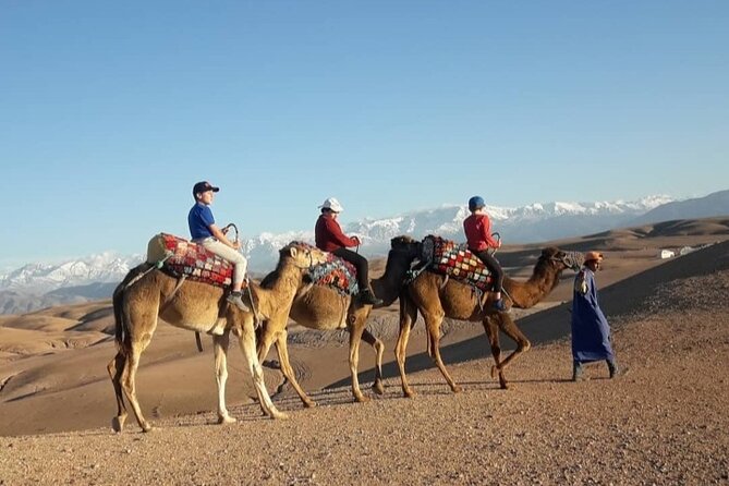 Agafay camel ride - Price and value: is $23.61 a fair deal?