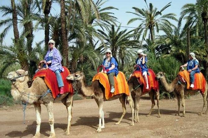 Agafay Desert Adventure, Culture, and Relaxation, From Marrakech - Marrakech to Agafay: the half-day desert escape that actually fits