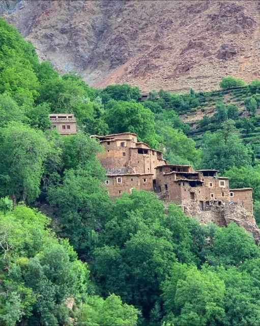 Agafay Desert & Atlas Mountain & Camel Ride Day Trip & Lunch - The Waterfall Trek: Worth It, But Plan for Real Footwork