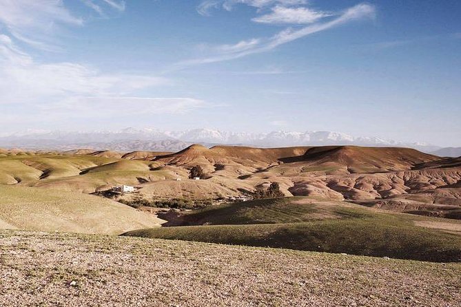 Agafay Desert & Atlas Mountains Day Trip from Marrakech - Key highlights worth planning around