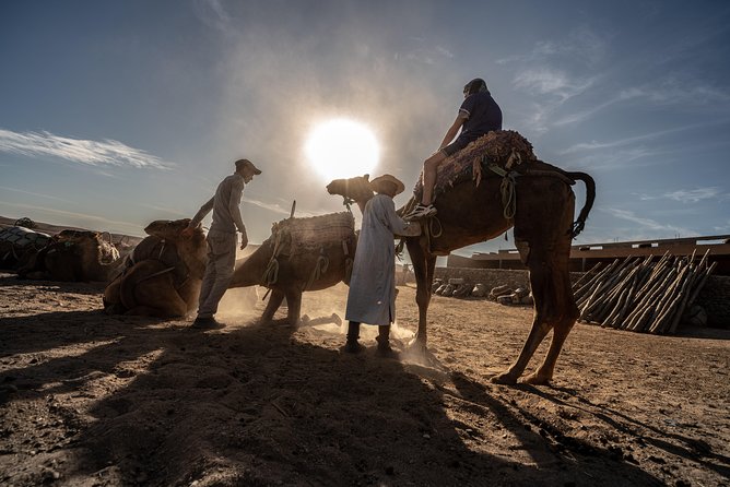 Agafay Desert Camel Experience with snack from Marrakech - Getting there: oasis start and air-conditioned comfort