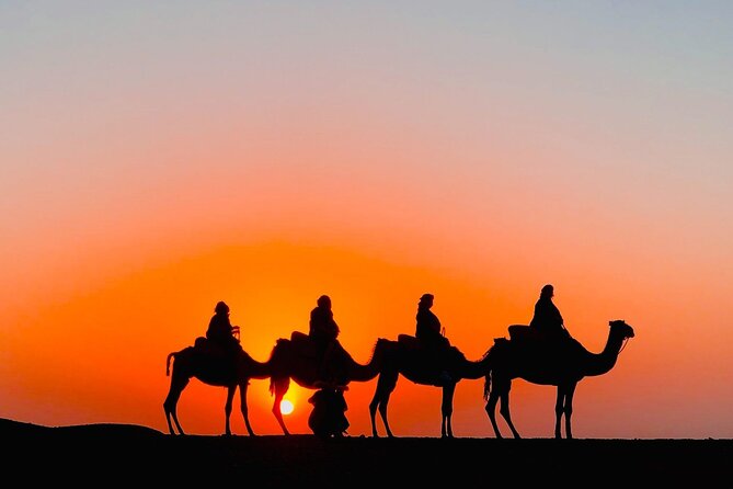 Agafay Desert Camel Ride with Dinner - Key things that make this tour worth your time