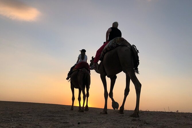 Agafay Desert Camel Ride with Dinner - Agafay Desert Outside Marrakech: the Quick Escape You Actually Want