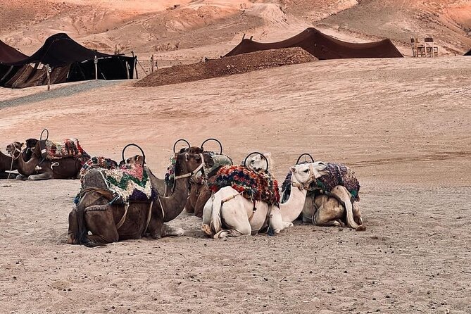 Agafay Desert Camel Ride With Dinner And Sunset Spectacle - Dinner at the camp under the night sky