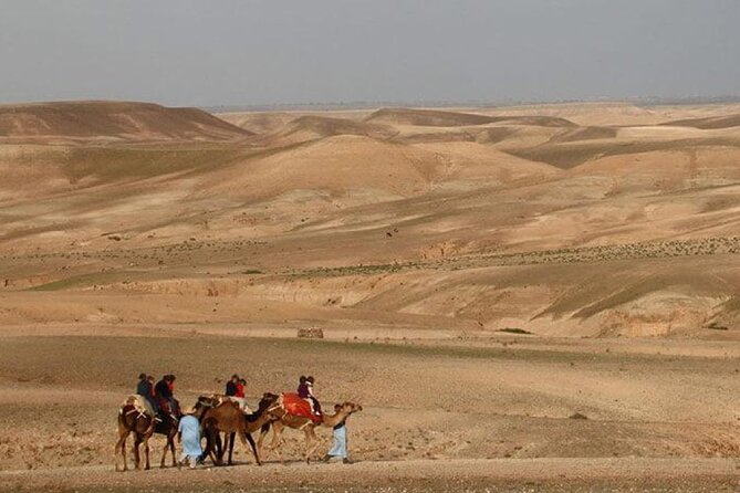 Agafay Desert Camel Ride With Dinner And Sunset Spectacle - Who should book this Agafay sunset camel ride