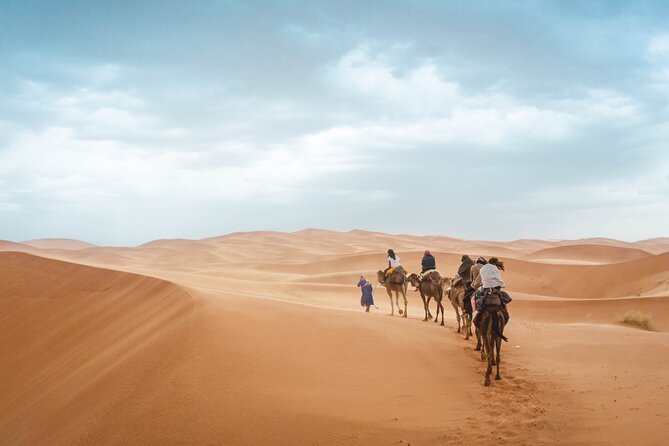 Agafay Desert Camel riding with sunset and dinner and berber show - Who should book this Agafay camel and dinner night