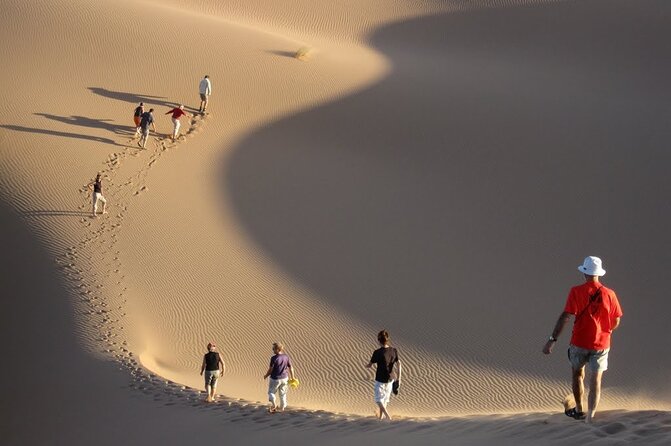 Agafay Desert Camel riding with sunset and dinner and berber show - Argan oil cooperative stop: what you learn and why it matters