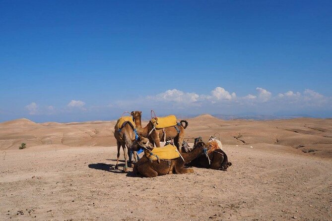 Agafay Desert Day Trip From Marrakech - Price and value: what $87.11 buys you in real terms