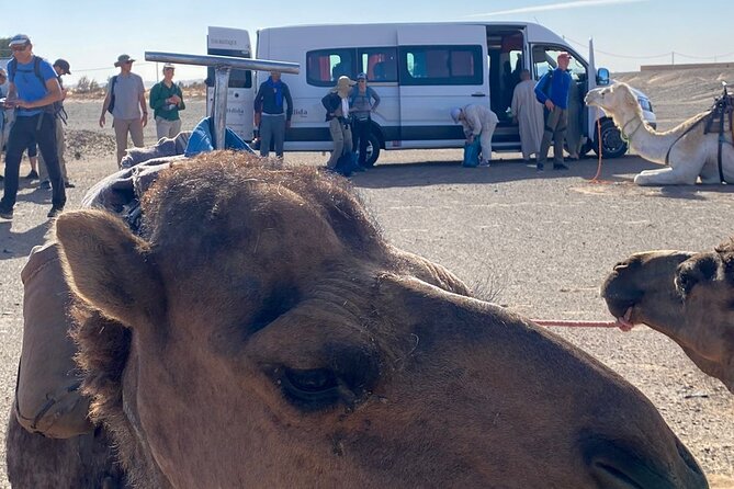 Agafay Desert Day Trip From Marrakech - Pickup to Agafay: why the late start matters