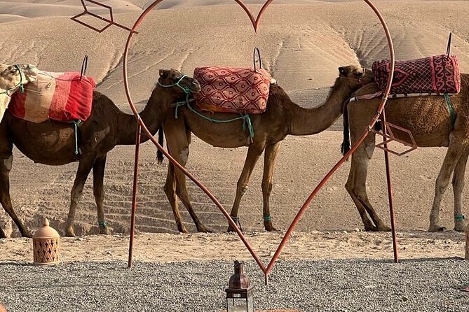 Agafay Desert : Dinner, show, Sunset & Access to the pool - Agafay Desert Dinner Show: A Real Desert Evening Close to Marrakech