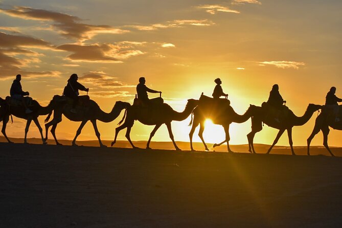 Agafay Desert, Dinner show with Quad bike and Camel Ride - Who should book this, and who should look elsewhere