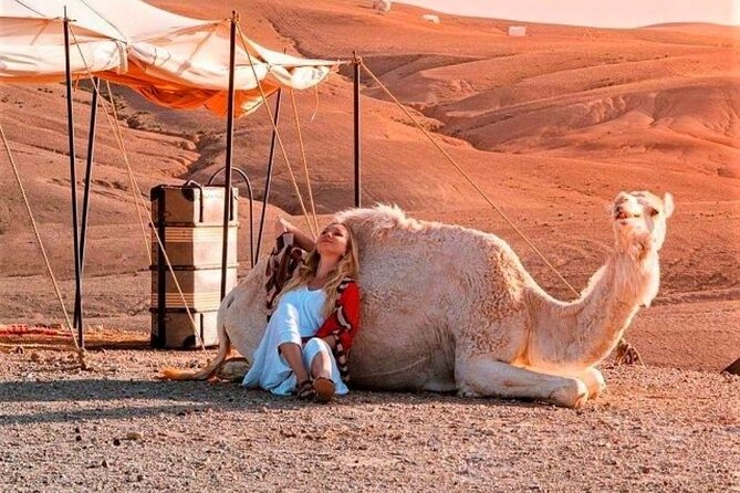 Agafay Desert: Dinner + Show with Quad Bike & Sunset Camel Ride - Marrakech pickup and the Agafay drive that sets the mood