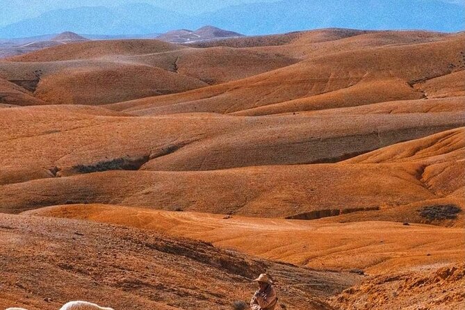 Agafay Desert: Dinner + Show with Quad Bike & Sunset Camel Ride - The dinner and show: Moroccan flavors plus live music and fire