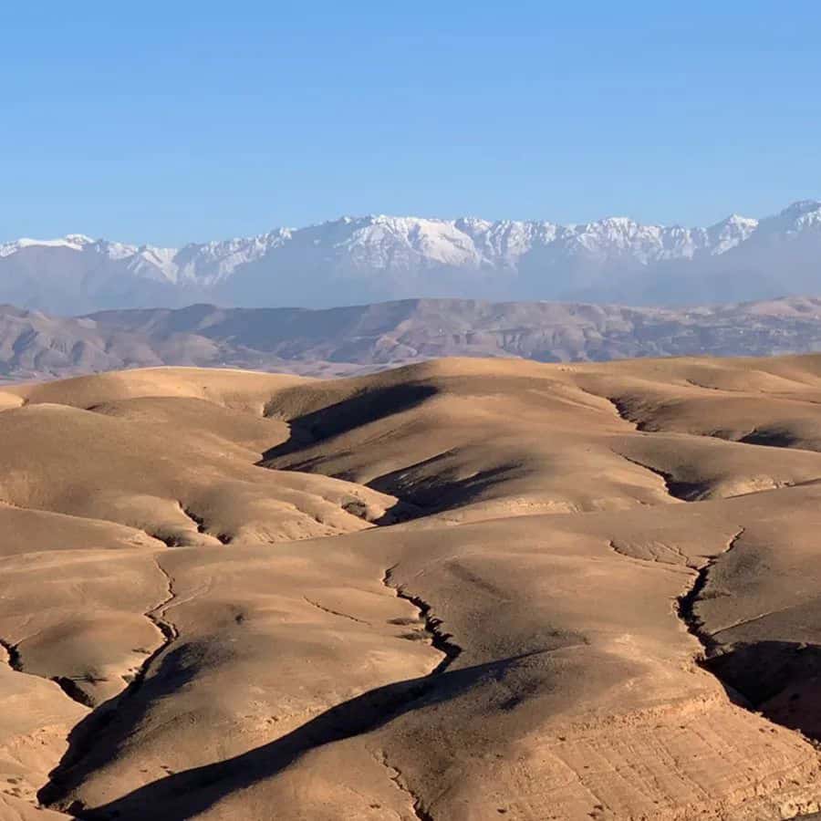 Agafay Desert: Magical Half-Day Lunch with Pool Swim - Should You Book This Agafay Desert Lunch with Pool Swim?