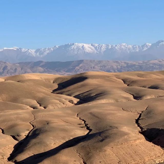 Agafay Desert: Magical Half-Day Lunch with Pool Swim - The Desert Camp Setup, Amenities, and That Argan Oil Bonus