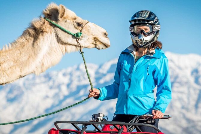 Agafay Desert Package, Quad Bike, Camel Ride and Dinner Show - Key highlights that matter