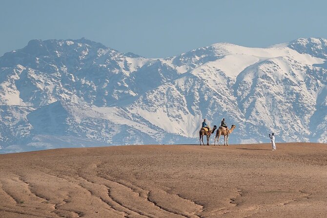 Agafay Desert Package, Quad Bike, Camel Ride and Dinner Show - Price and value: what you really get for about $37
