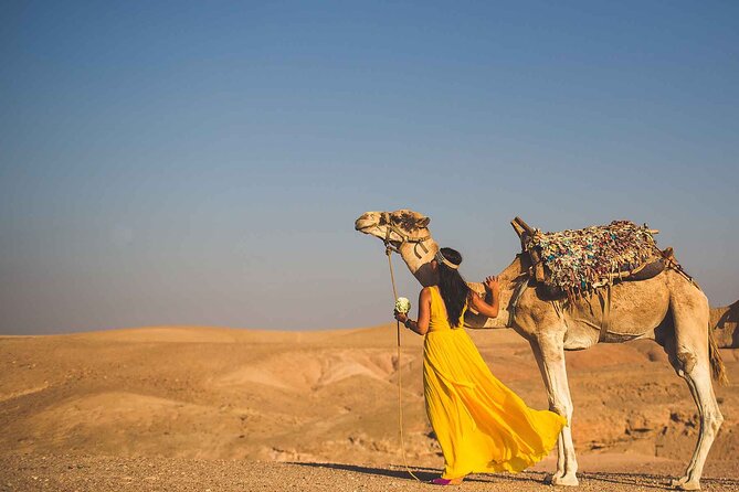 Agafay Desert Package, Quad Bike, Camel Ride and Dinner Show - Best fit: who should book this Agafay package