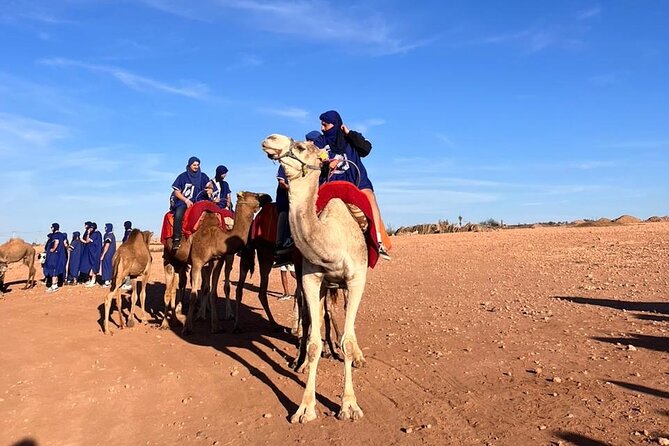 Agafay Desert Package: Quad Bike, Camel Ride, Dinner show - Marrakech pickup and meeting your crew