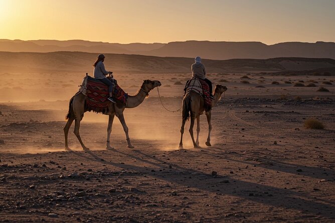 Agafay Desert Package, Quad Bike, Camel Ride with Dinner Show - Argan Oil Women’s Cooperative stop: why this pause adds meaning