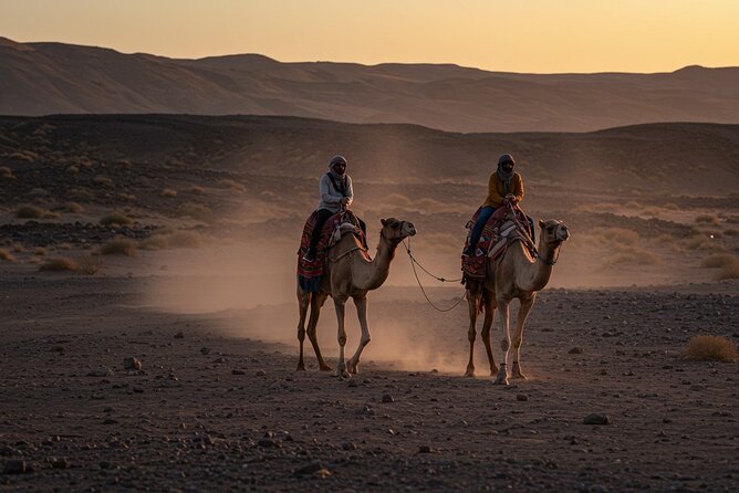 Agafay Desert Package, Quad Bike, Camel Ride with Dinner Show - Guide quality and what to expect with your crew