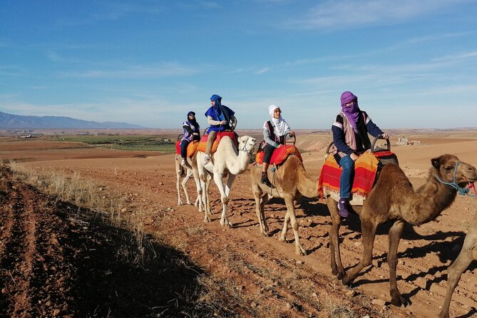 Agafay Desert Package: Quad, Camel Rides & Dinner Show or Lunch - What to pack for Agafay: the practical stuff that saves your night