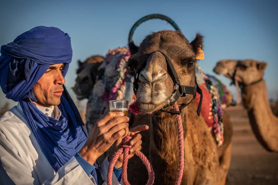 Agafay Desert: Quad Bike and Camel Ride Adventure Tour - Guides and Gear: What Makes This Tour Feel Professional
