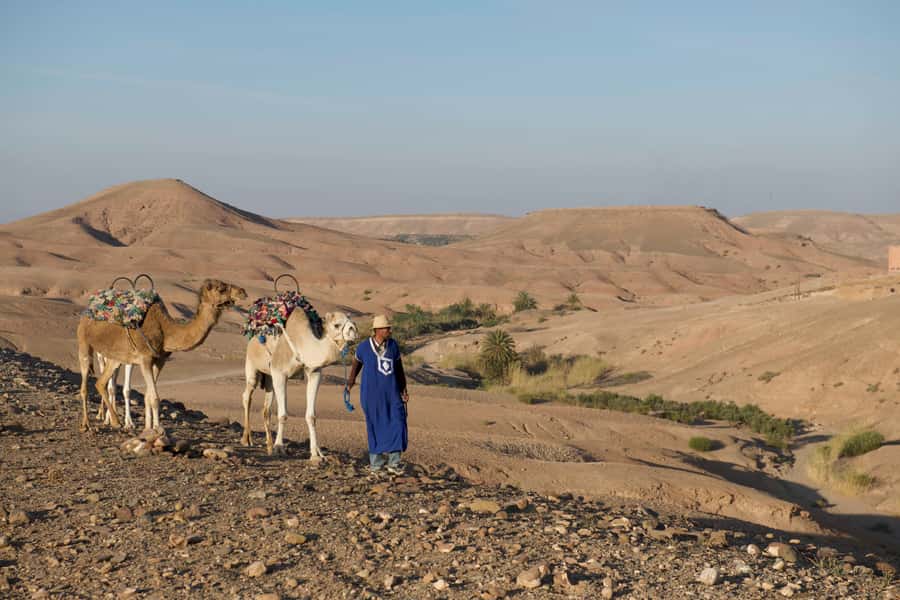 Agafay Desert: Quad Bike and Camel Ride Adventure Tour - Pricing Value for $106: What You Actually Get for Your Money