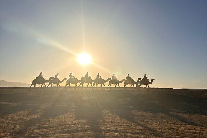 Agafay Desert: Quad Bike & Camel Ride & Magical Diner with Show - Who This Tour Fits Best (And Who Should Rethink)