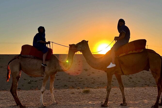 Agafay desert : Quad biking and camels and dinner with show - Camel Ride to the Nomad Camp: A Different Pace
