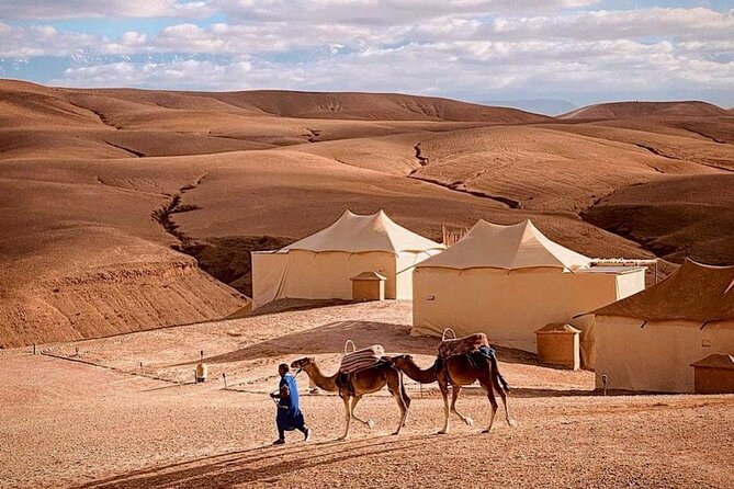 AGAFAY Desert: Quad biking, Camel Ride, Dinner and Show. - Quick reasons to go