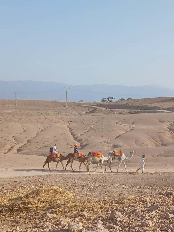 Agafay Desert: Quad Biking, Camel Ride, Lunch - Price and value: how $34 fits with the extra fees reality