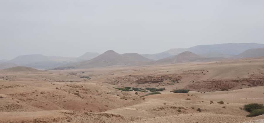 Agafay Desert: Quad Biking, Camel Ride, Lunch - Camel ride for 20 minutes: calm time with the desert’s silence