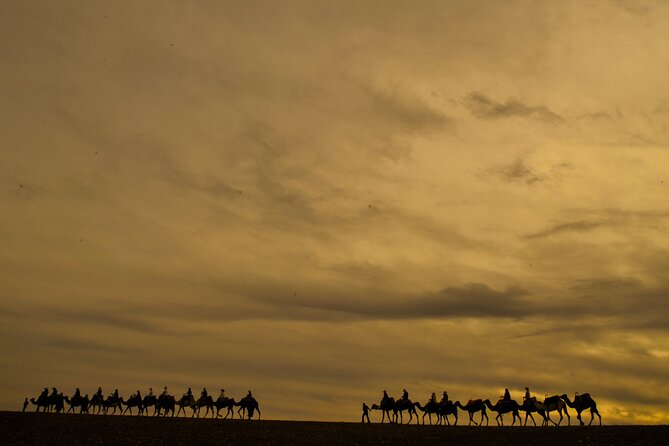 Agafay desert - Quad, camel, and dinner show - Camel riding with guides like Abdul: slow motion, real Morocco