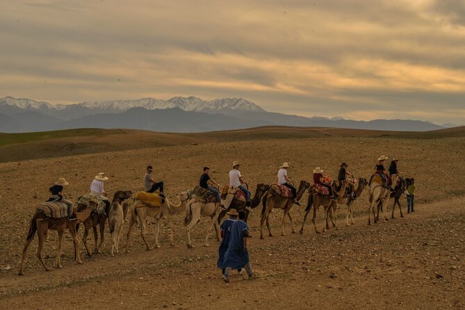 Agafay desert - Quad, camel, and dinner show - Service and comfort, balanced: when pickup goes smooth versus messy