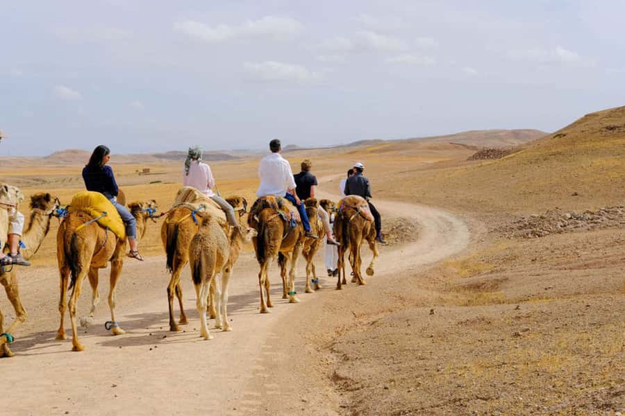 Agafay Desert: Quad, Camel Ride & Luxury Lunch with Pool - Lunch at Arabian Desert Home and the Berber culture moment