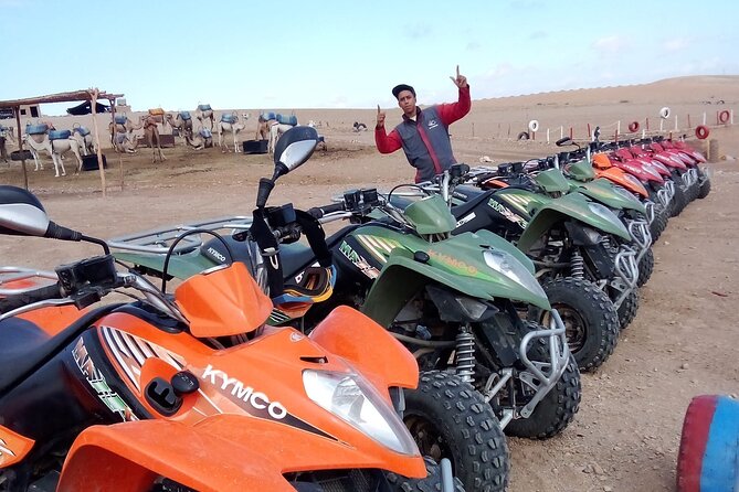 Agafay Desert :Quad or Camel with Lunch and pool or Dinner & Show - Who Should Book This Agafay Quad Or Camel Tour?