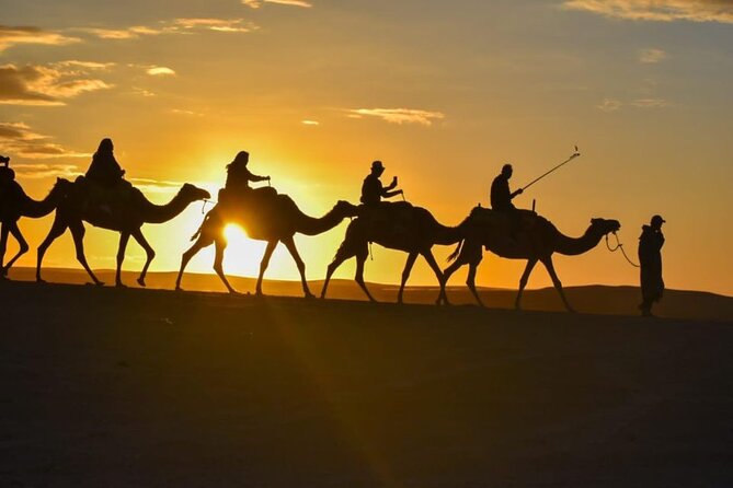 Agafay Desert Sunset Camel Ride with Dinner in Camp - Best-fit for you: who will like this and who should think twice