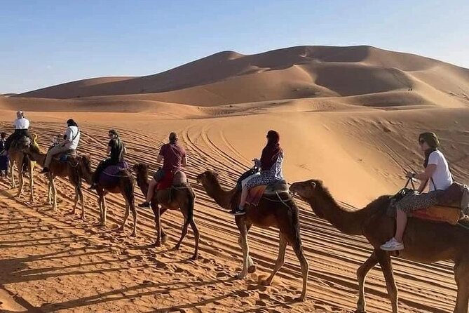 Agafay Desert Sunset Camel Ride with Dinner in Camp - How to make the most of the evening