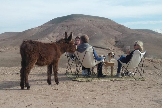 Agafay Desert: Your Exclusive Luxury Retreat Under the Stars - Key highlights to know before you go