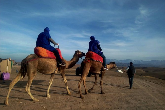 Agafay Half Day Rocky Desert Experience – Quad Bike & Camel Ride - Key highlights you will actually use