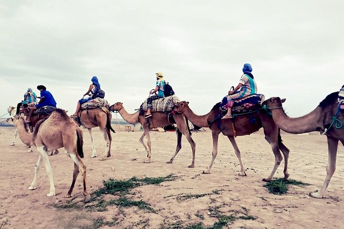 Agafay Half Day Rocky Desert Experience – Quad Bike & Camel Ride - Price and Value: Is $117.48 Worth It?