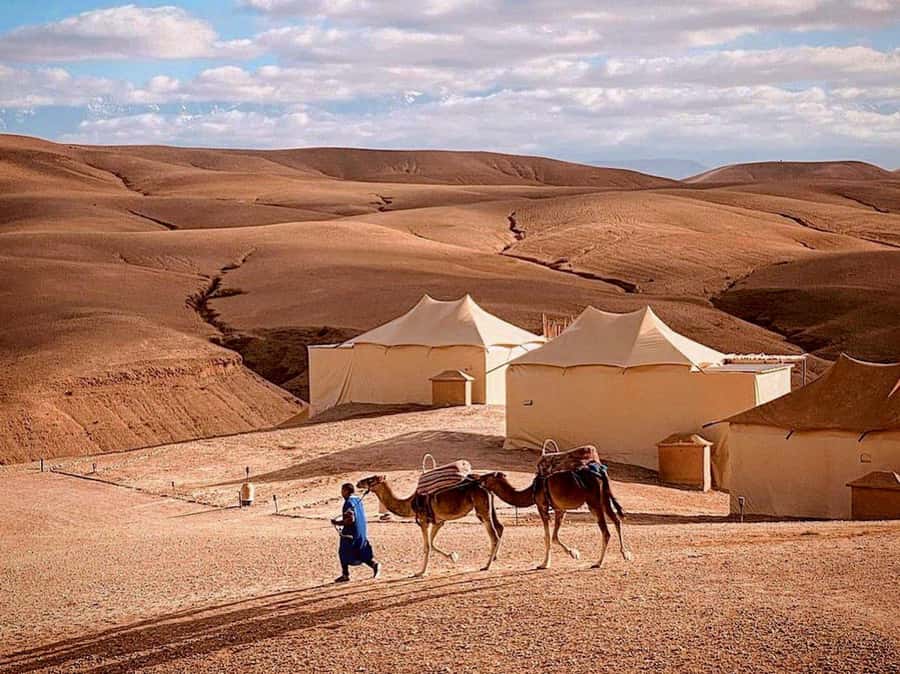 Agafay: Half-Day Rocky Desert Quad & Camel Ride with Lunch - Lunch in a Berber tent with mint tea and panoramic views