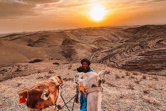 Agafay Marrakech dinner show with quad bike and camel ride - Quad Bikes and Camel Ride at Sunset: What the Timing Really Means