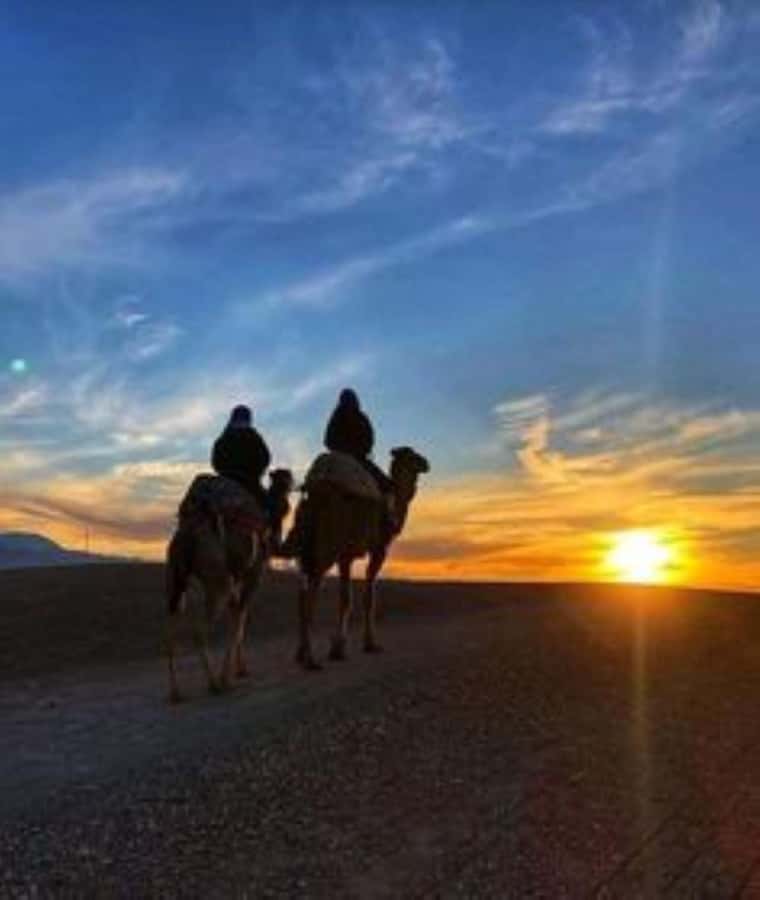 Agafay: Quad, Camel Ride & Dinner Show from Marrakech - Key highlights at a glance